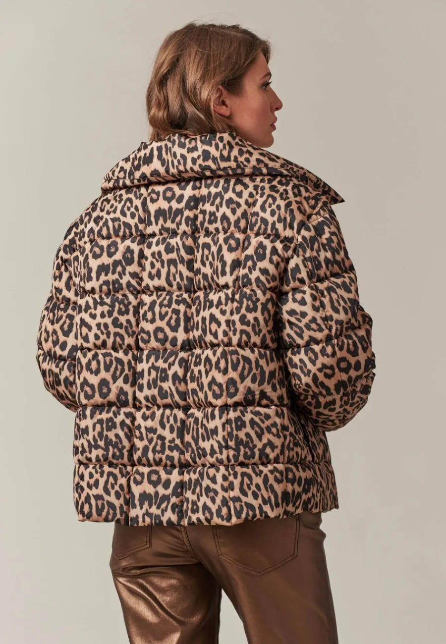 Deeluxe Veste TIGRA Shop